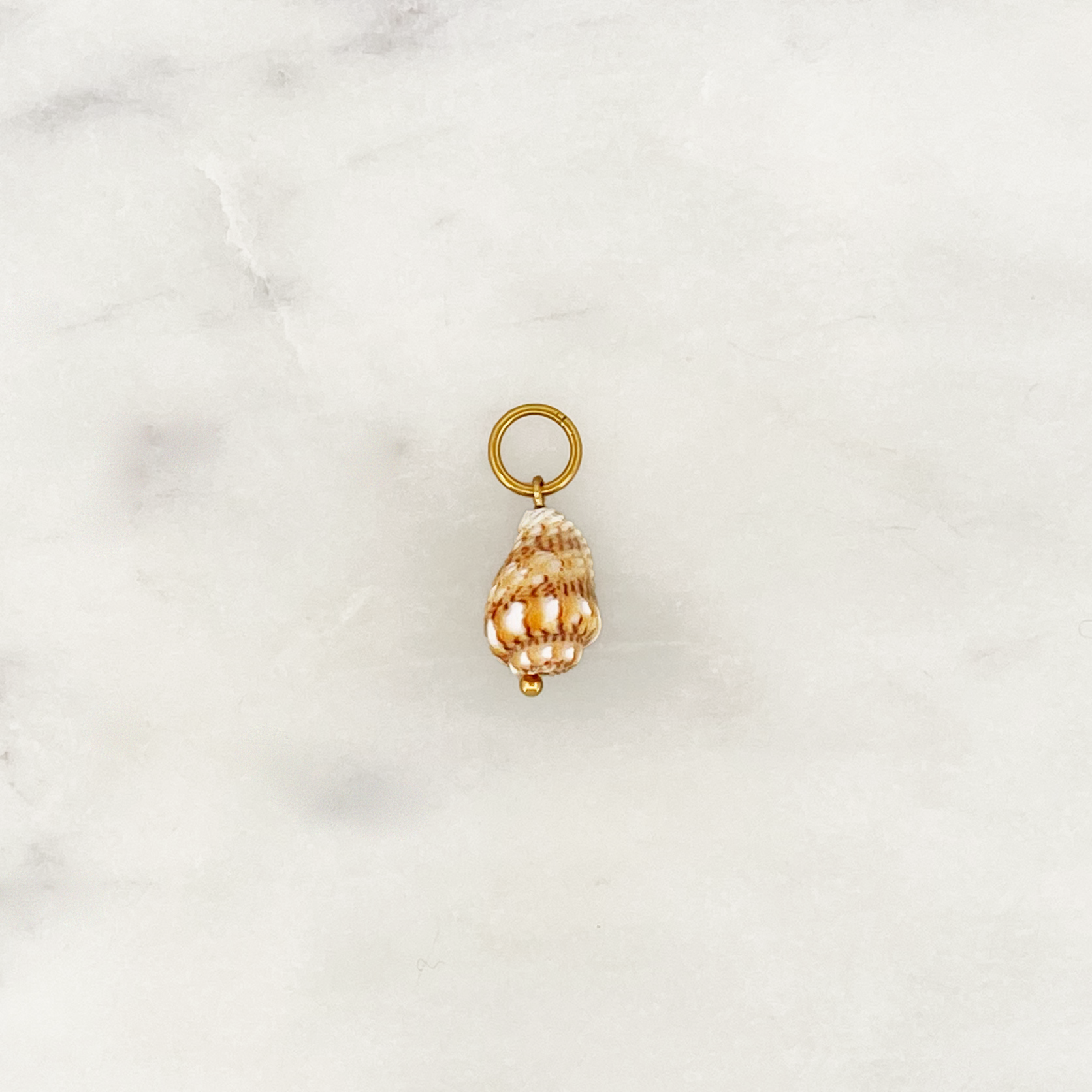 DYO Beige Spiral Shell DYO Beige Spiral Shell