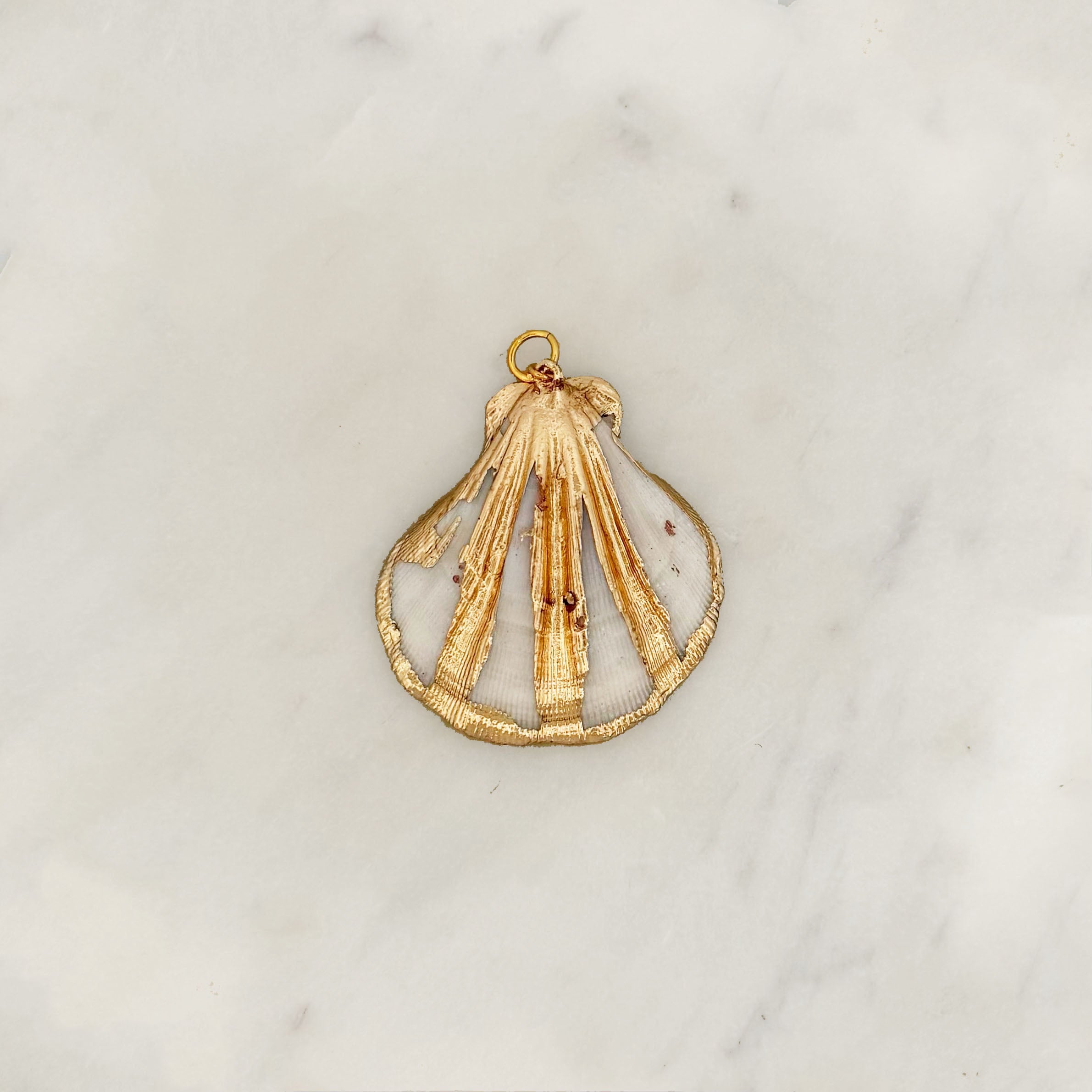 DYO Ivory Gold Shell DYO Ivory Gold Shell