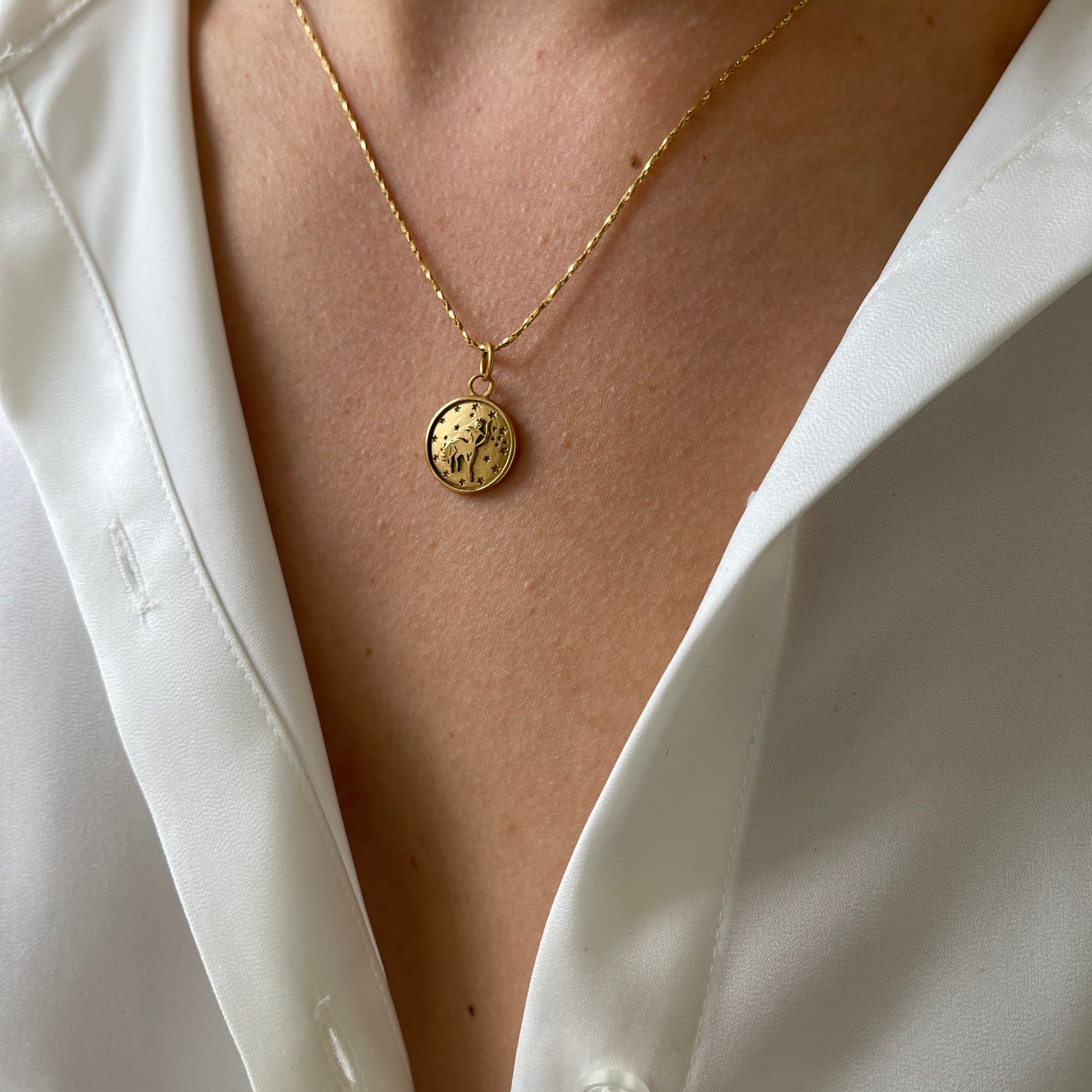 Rope Sagittarius Ketting Rope Sagittarius Ketting