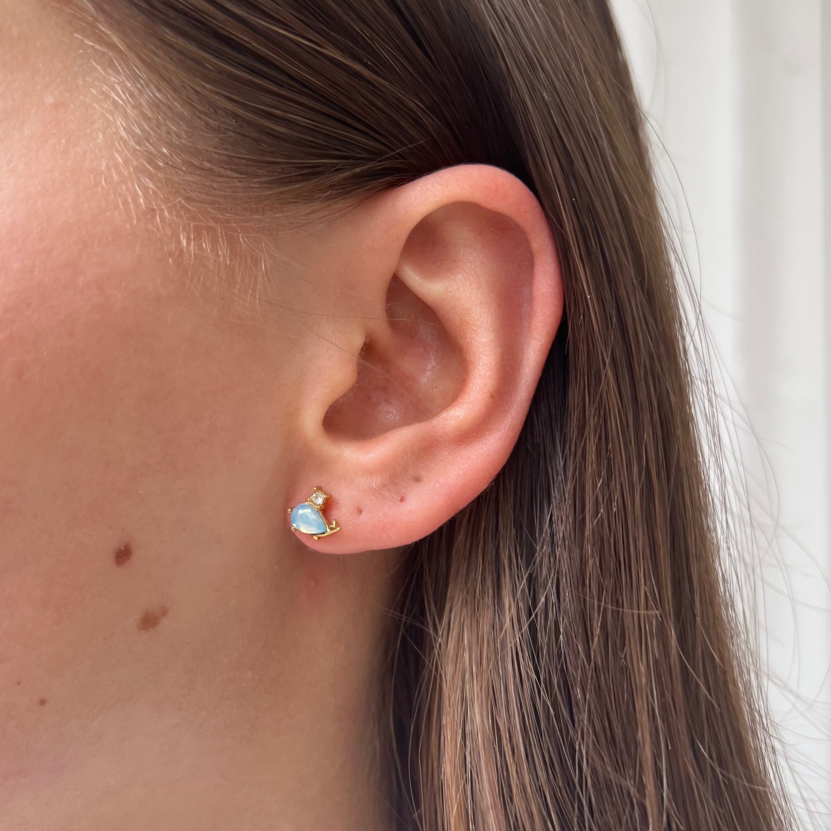 Earstud Whale