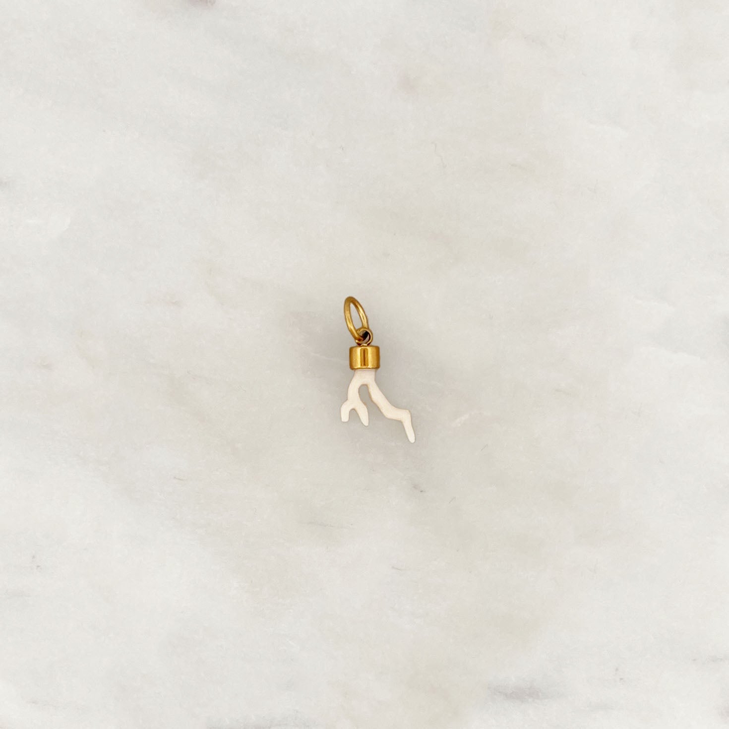 DYO Ivory Coral
