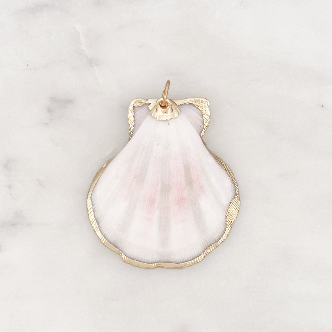 DYO Natural Scallop Shell