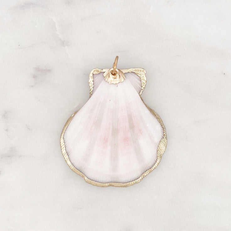 DYO Natural Scallop Shell