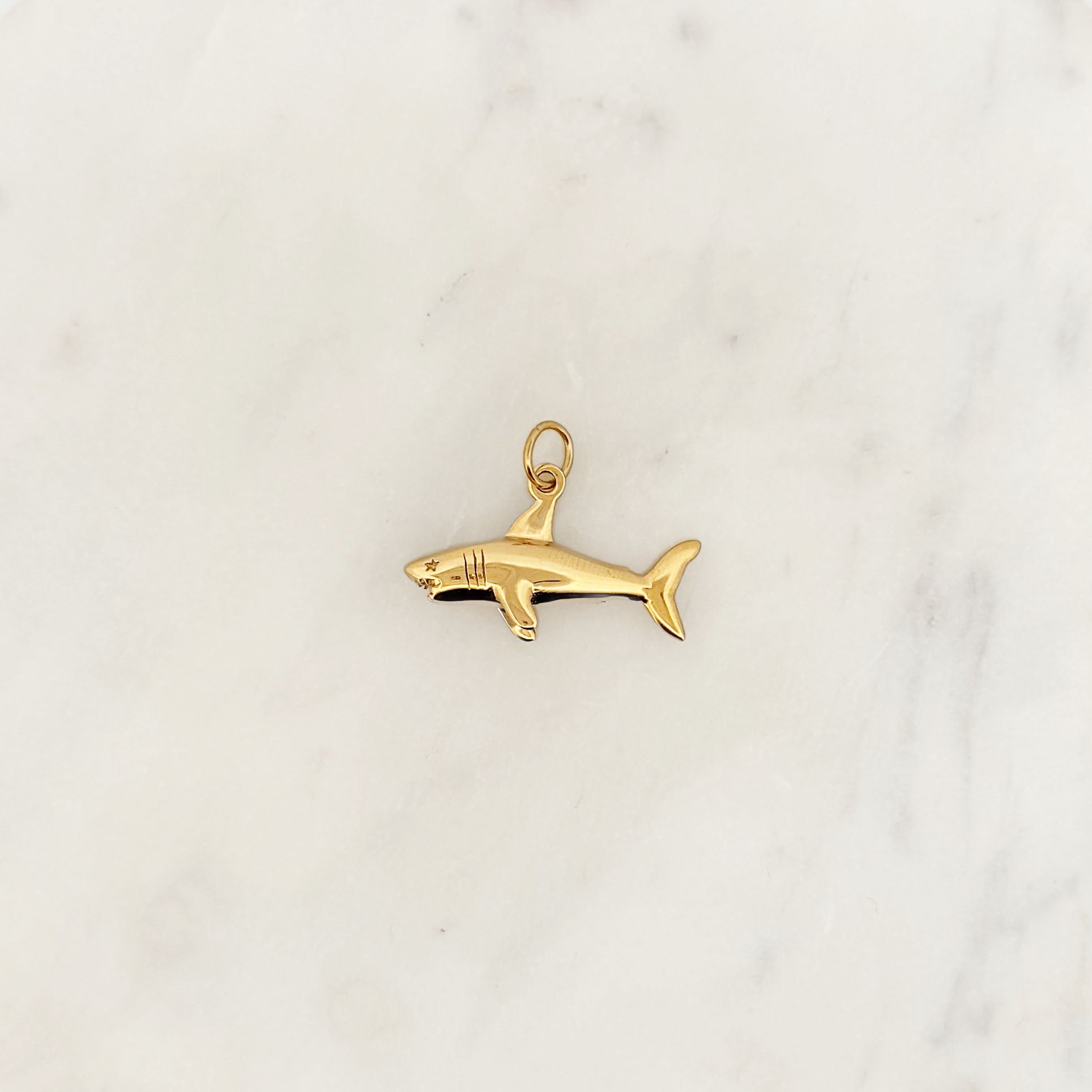 DYO Shark