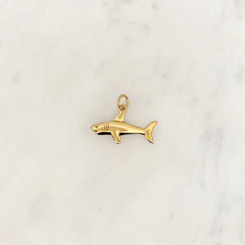 DYO Shark