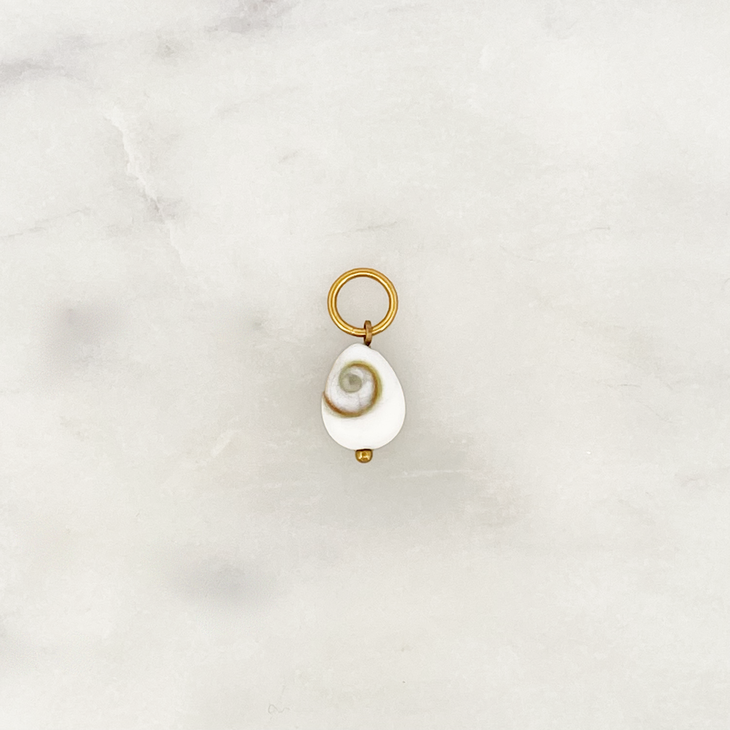 DYO Oval Shiva Shell