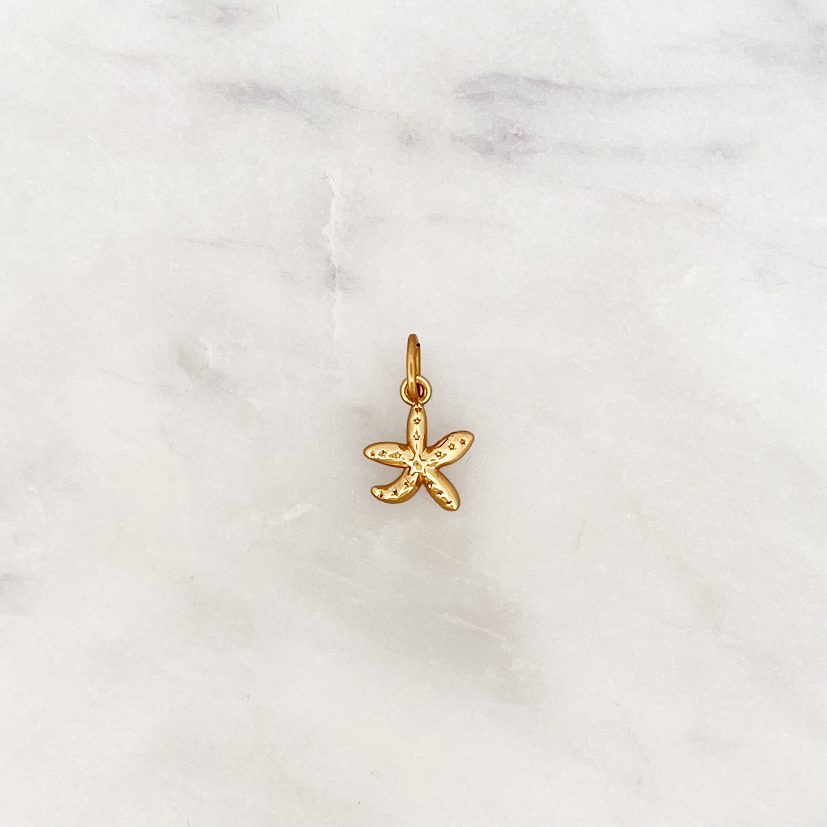 DYO Starfish