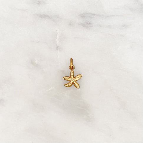 DYO Starfish