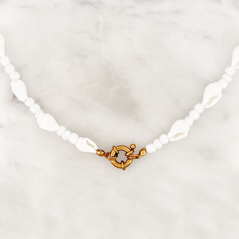 White Shell Necklace