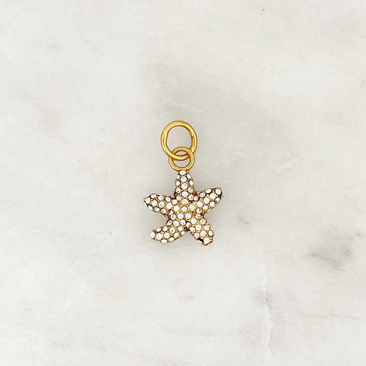 DYO Shiny Starfish - ByNouck Jewelry