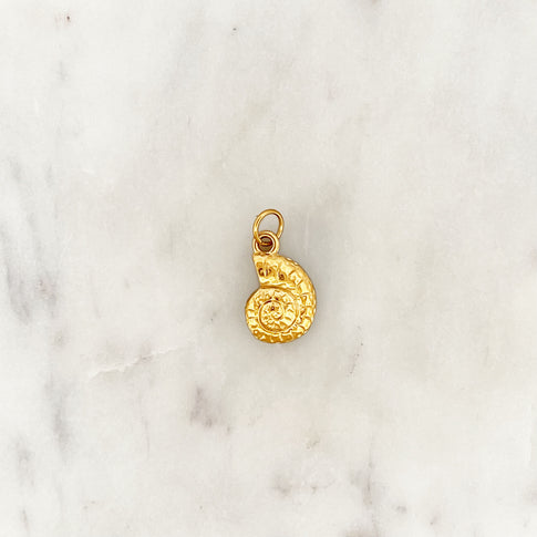 DYO Small Shell