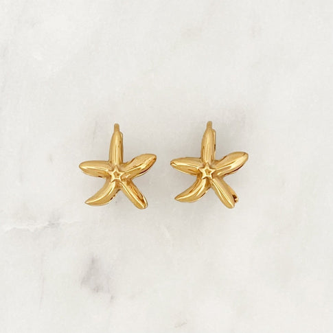 Starfish Hoop Set - ByNouck Jewelry